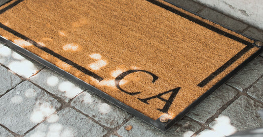 ¿Cómo elegir tu choapino ideal? Tamaño y estilo que se adapta a ti