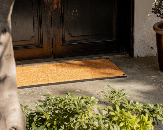 Choapino con Marco de Fierro