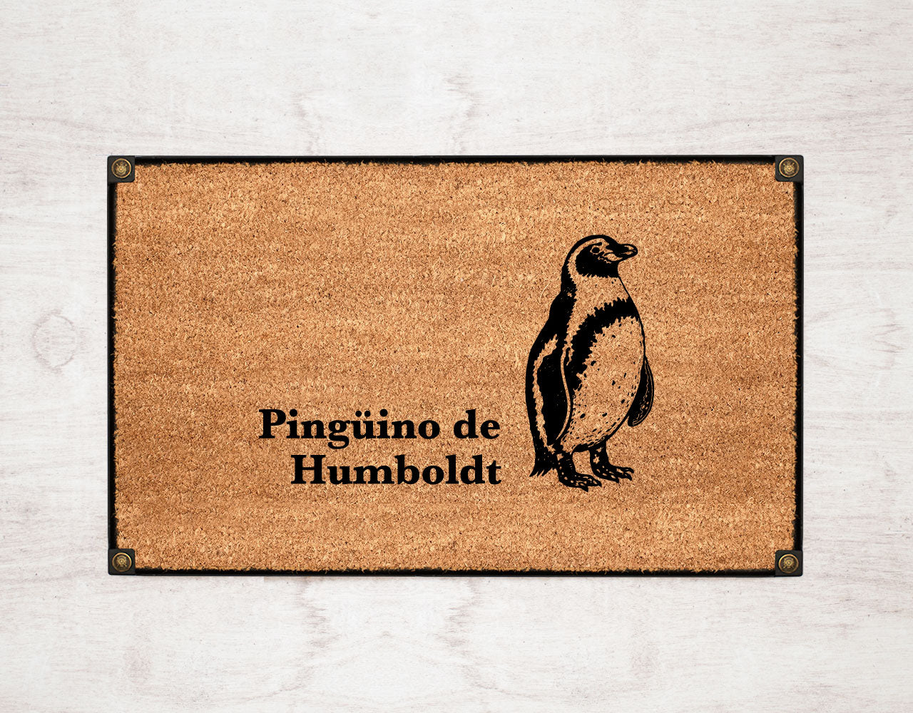 Pingüino de Humboldt by Chile Nativo