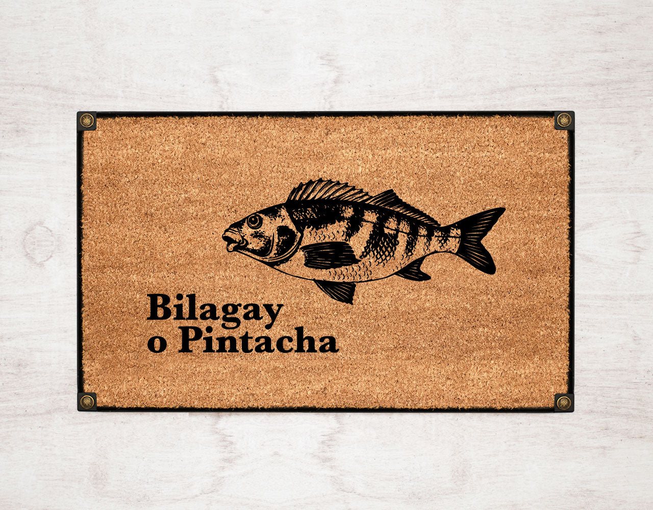 Bilagay o Pintacha by Chile Nativo