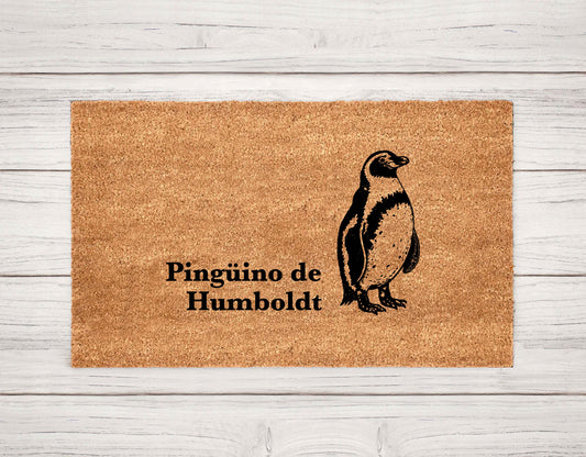 Pingüino de Humboldt by Chile Nativo