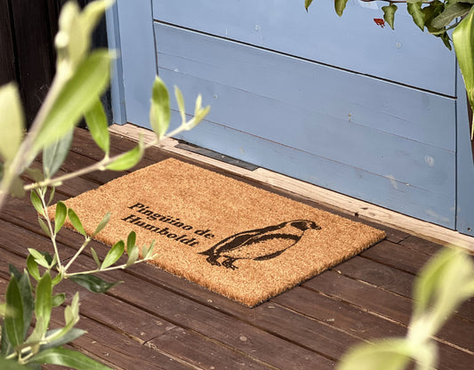 Pingüino de Humboldt by Chile Nativo