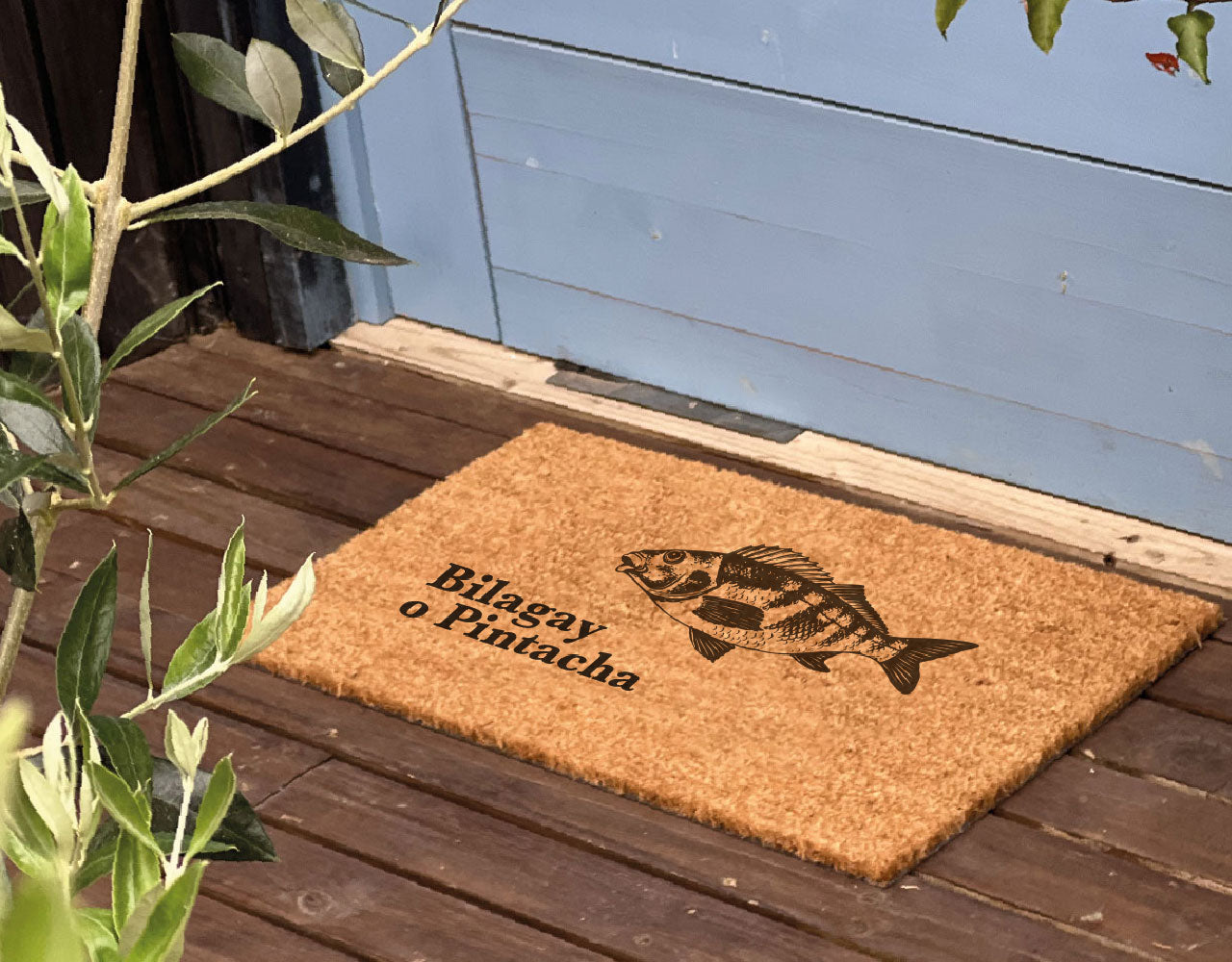 Bilagay o Pintacha by Chile Nativo