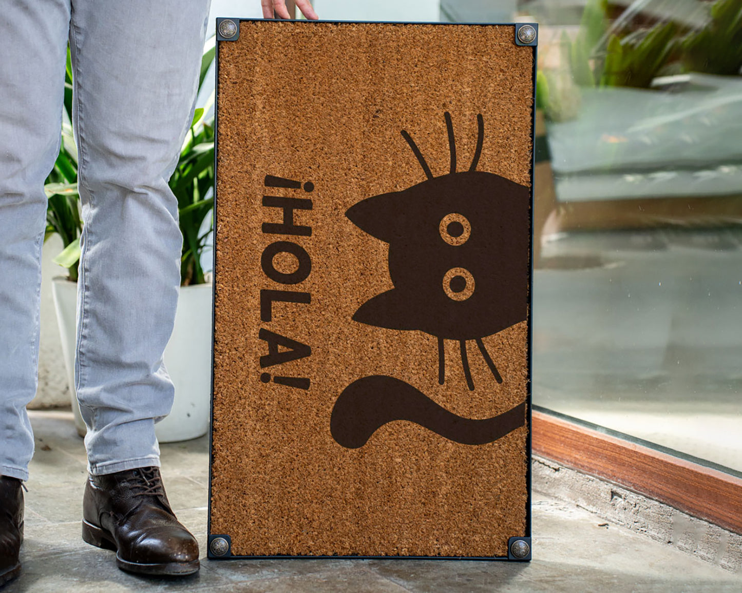 ¡Hola! Gato