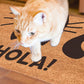 ¡Hola! Gato