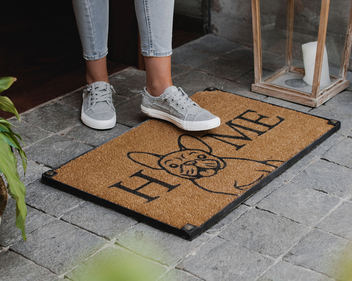 Home Cara Perro (Elige tu perrito)