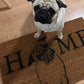 Home Cara Perro (Elige tu perrito)