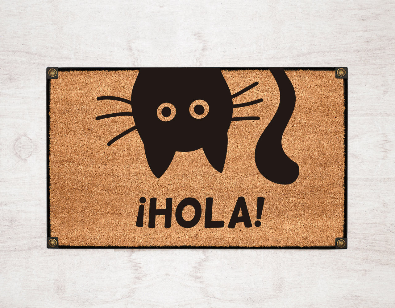 ¡Hola! Gato