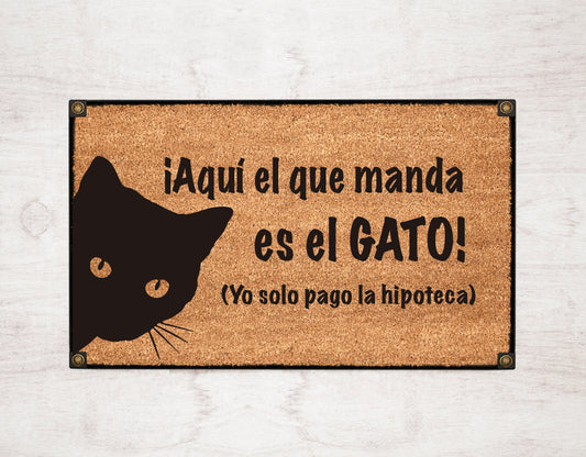 Aquí el que manda es el gato