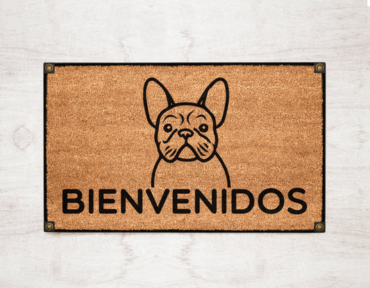 Bienvenidos Bulldog Francés