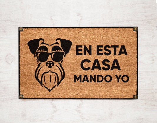 En esta casa mando yo Schnauzer